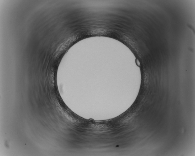 X0000098190633200805221518