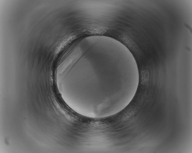 X0000098190634200805221518