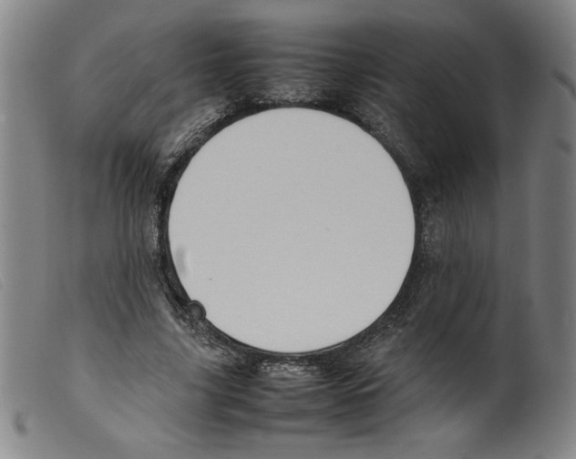 X0000098190635200805221518