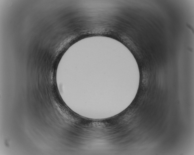 X0000098190636200805221518