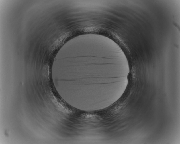 X0000098190637200805221518