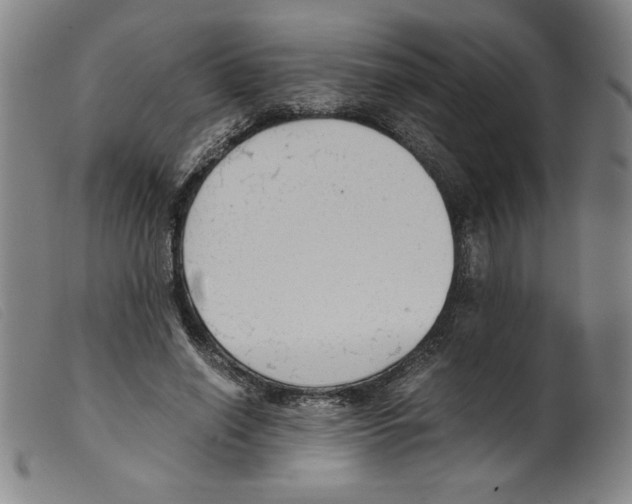 X0000098190638200805221518