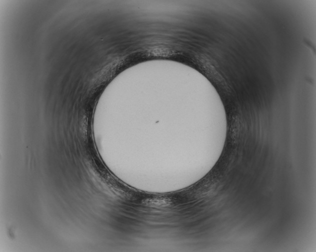 X0000098190639200805221518