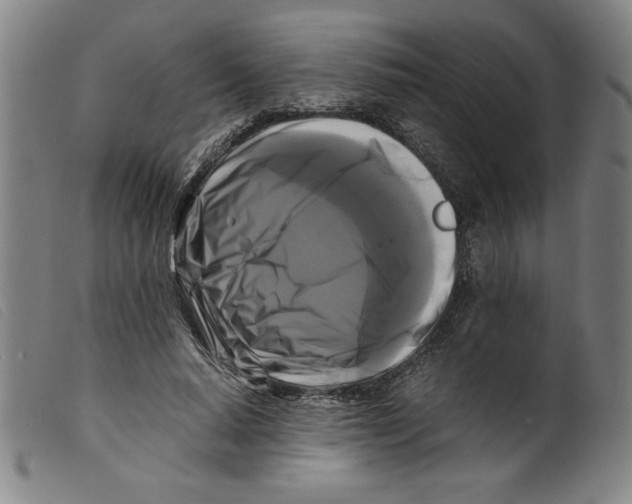 X0000098190640200805221518