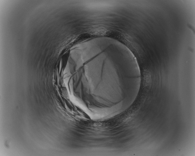 X0000098190641200805221518