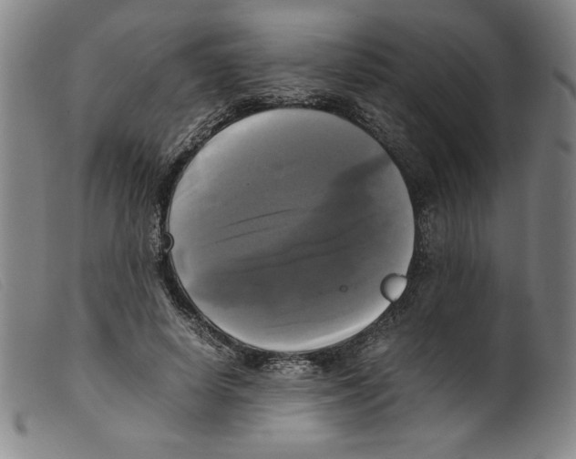 X0000098190642200805221518