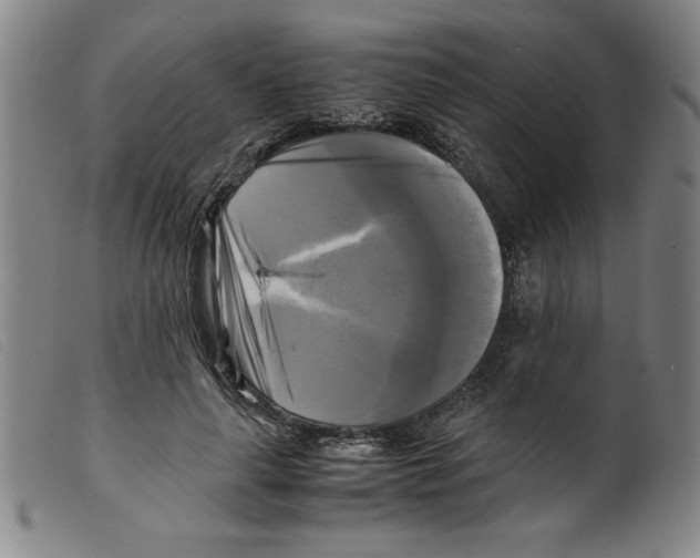 X0000098190643200805221518