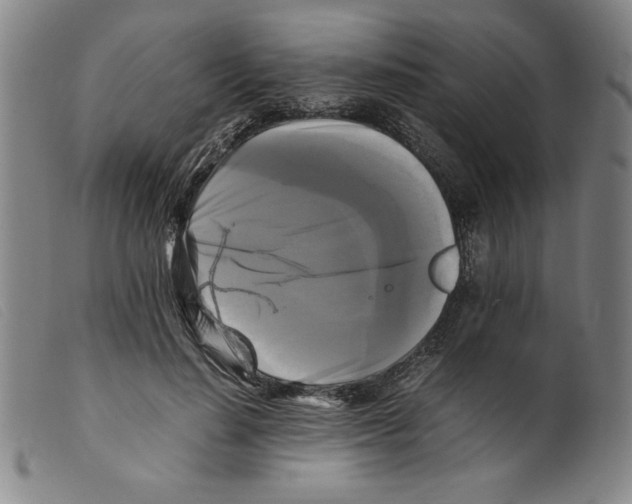 X0000098190644200805221518