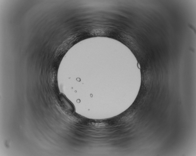 X0000098190645200805221518