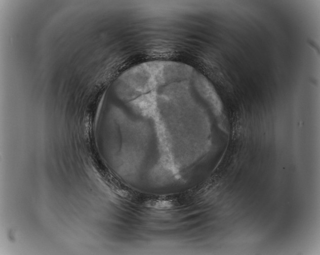 X0000098190647200805221518