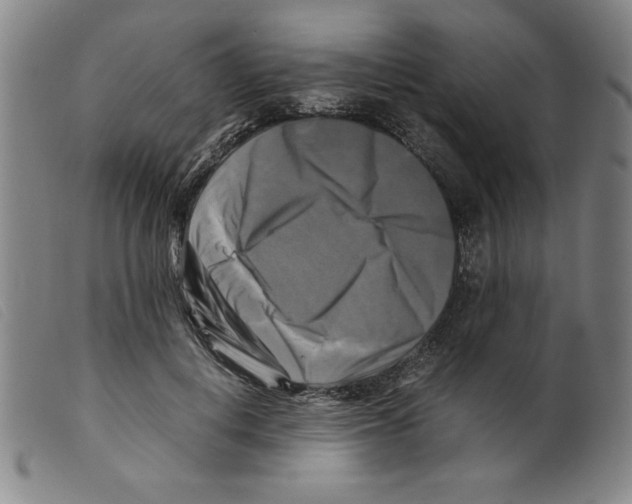 X0000098190648200805221518