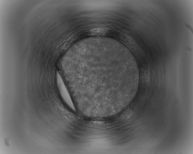 X0000098190649200805221518