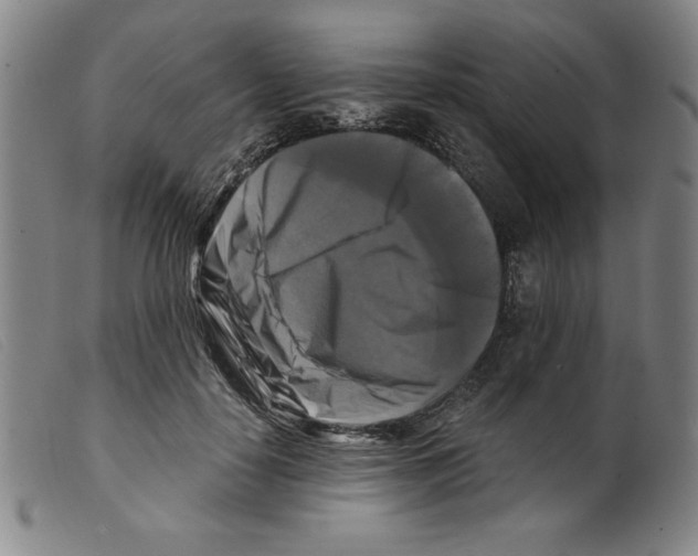 X0000098190650200805221518