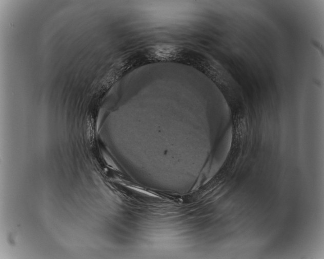 X0000098190651200805221518
