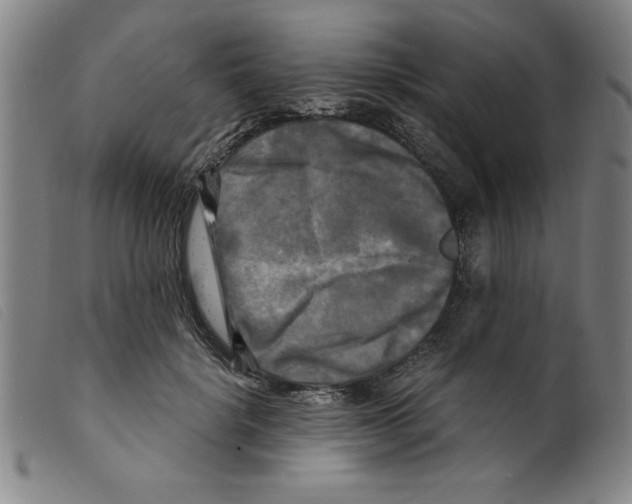 X0000098190652200805221518