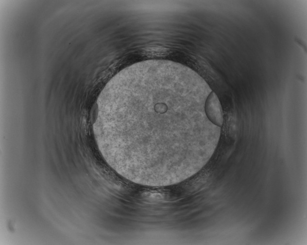 X0000098190655200805221518