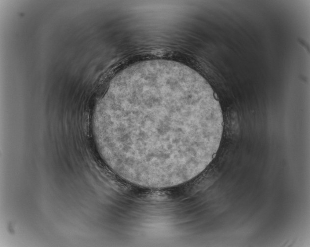 X0000098190656200805221518