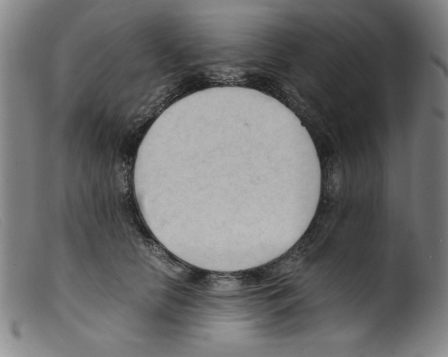 X0000098190658200805221518