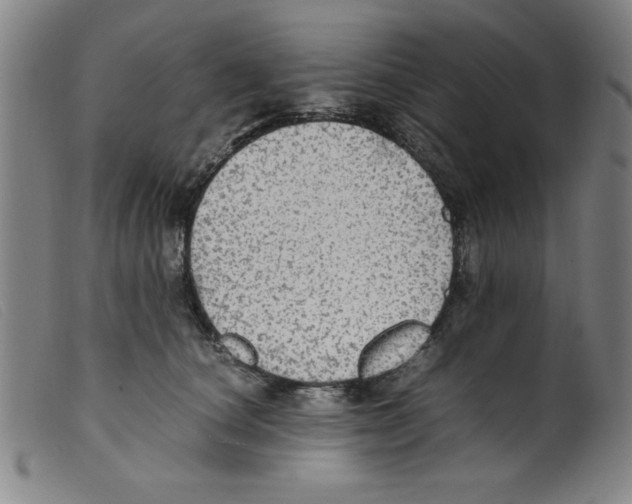X0000098190660200805221518
