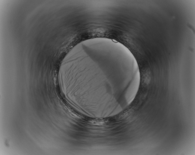 X0000098190661200805221518