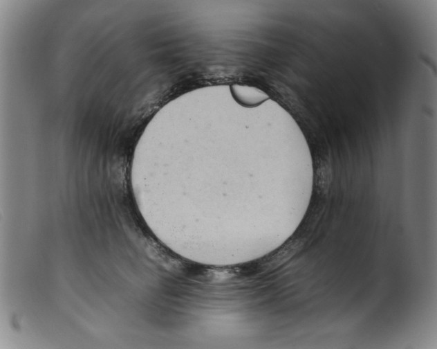 X0000098190662200805221518