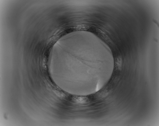X0000098190663200805221519