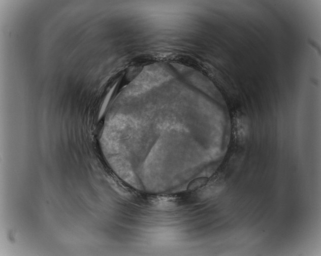 X0000098190664200805221519