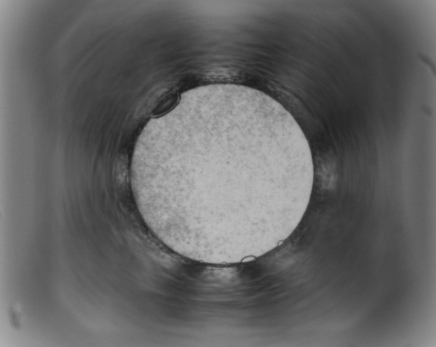 X0000098190665200805221519