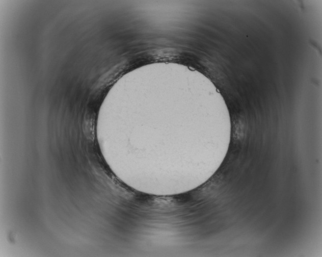 X0000098190666200805221519