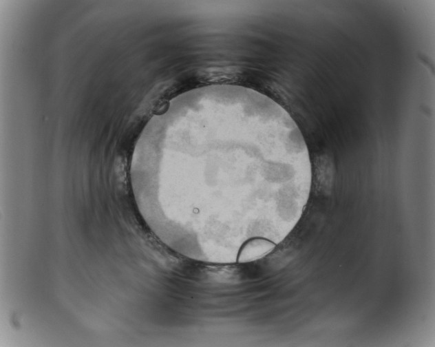 X0000098190667200805221519
