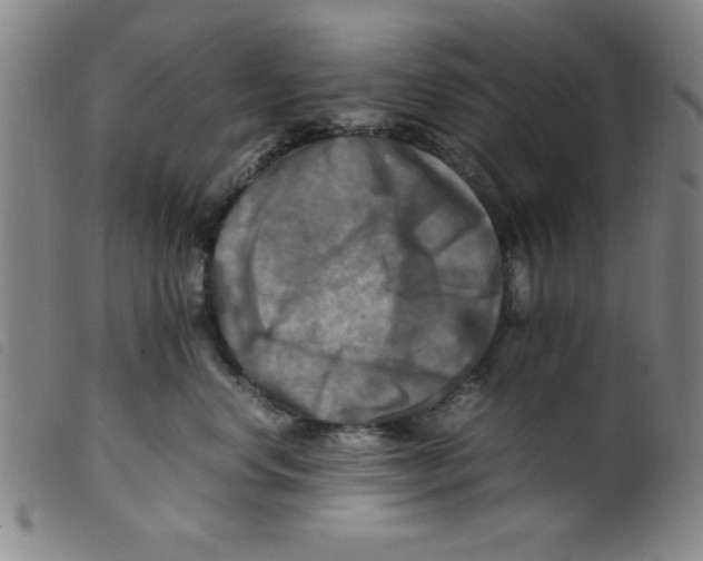 X0000098190668200805221519
