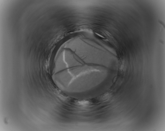 X0000098190669200805221519