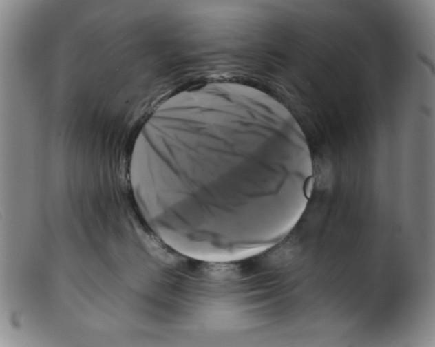 X0000098190670200805221519