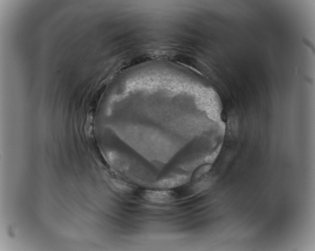 X0000098190671200805221519