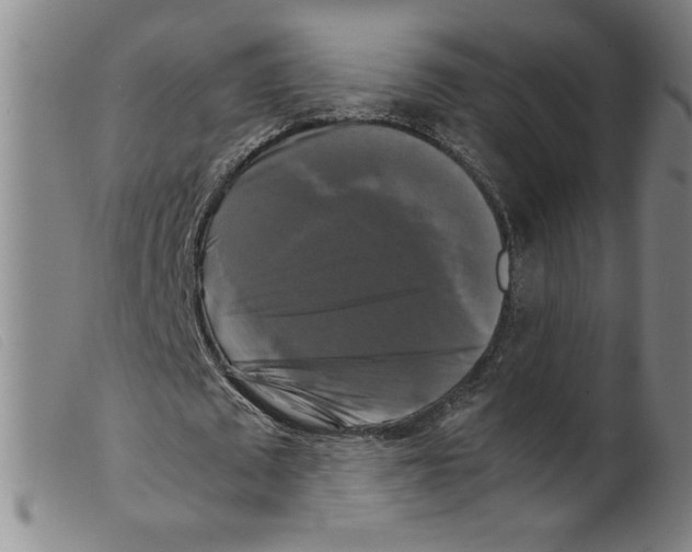 X0000098190673200805221518
