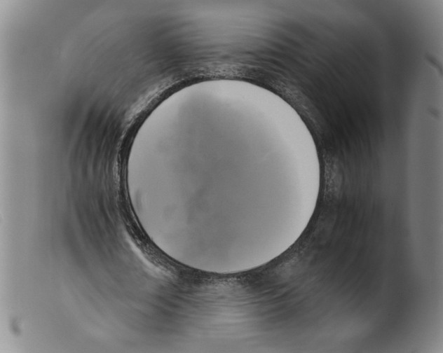 X0000098190674200805221518