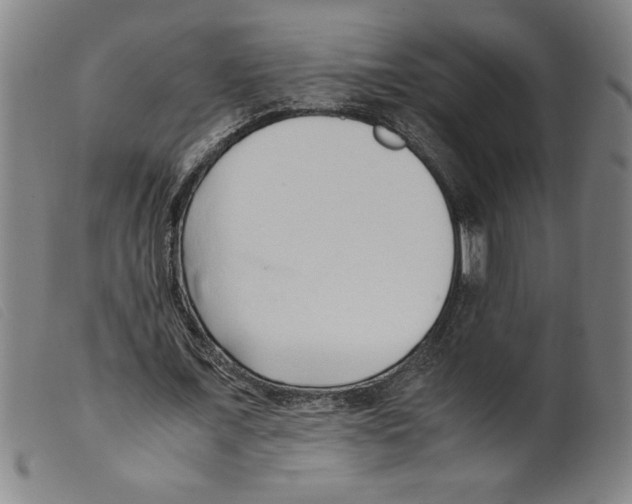 X0000098190675200805221518