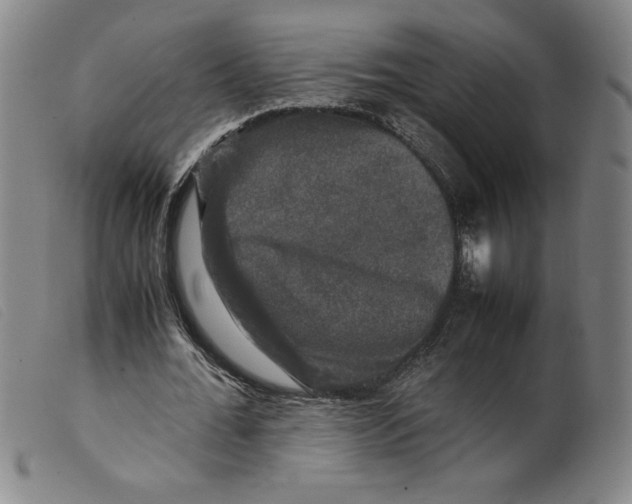 X0000098190676200805221518