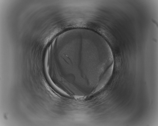 X0000098190677200805221518