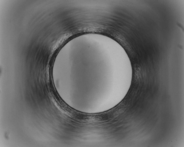 X0000098190678200805221518