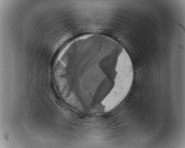 X0000098190679200805221518
