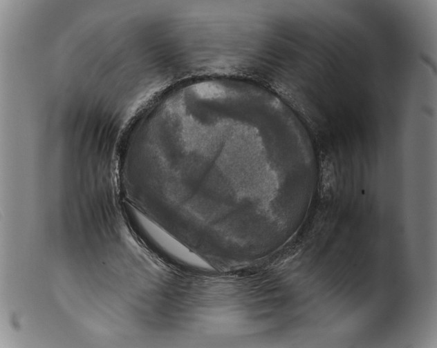 X0000098190680200805221518