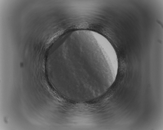 X0000098190681200805221518