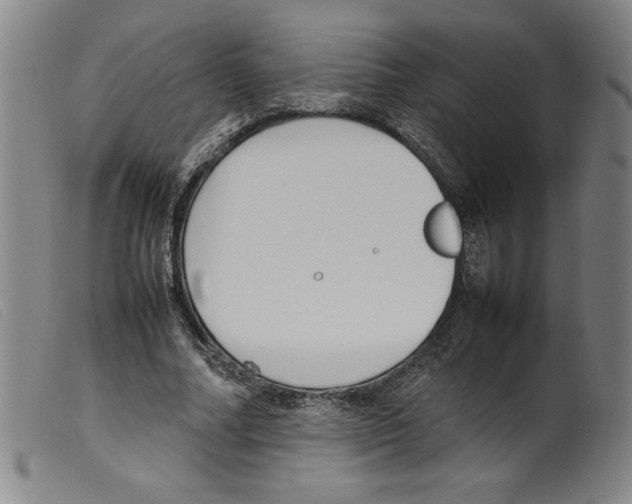 X0000098190682200805221518