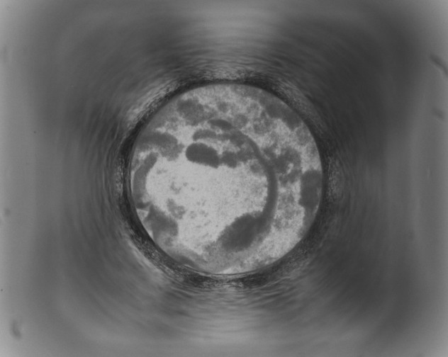 X0000098190683200805221518