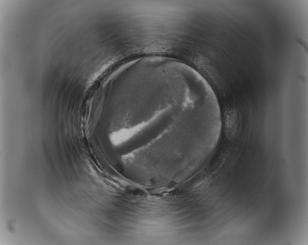 X0000098190684200805221518