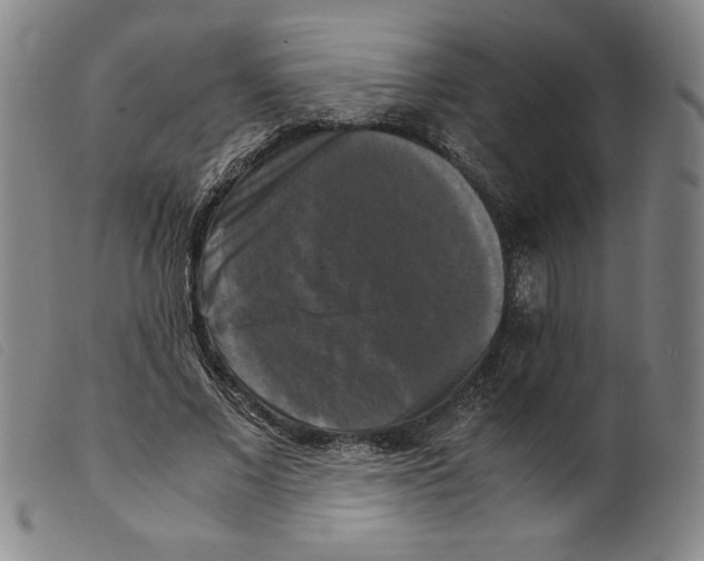 X0000098190685200805221518
