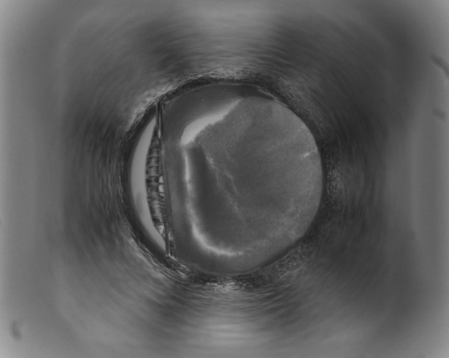 X0000098190688200805221518