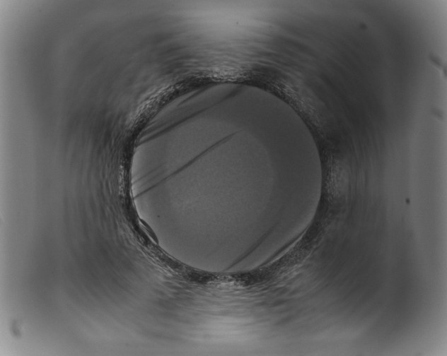 X0000098190689200805221518