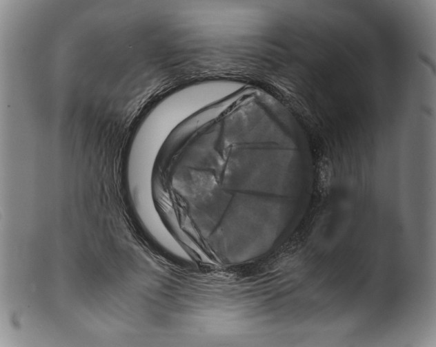 X0000098190691200805221518
